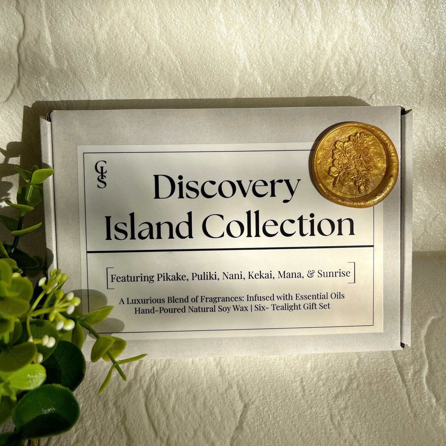 Discovery Island Collection